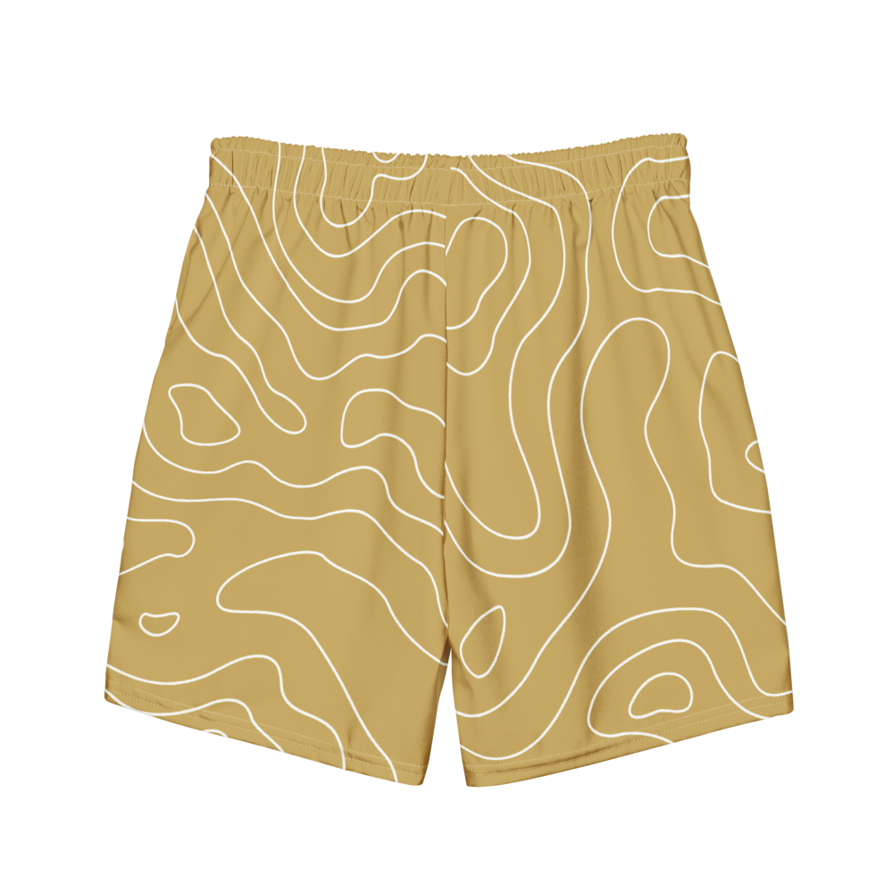 Arena Swim Short